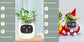 AI Smart Planter Pot – Interactive Plant Companion with Expressions & Sensors