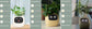 AI Smart Planter Pot – Interactive Plant Companion with Expressions & Sensors