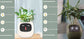 AI Smart Planter Pot – Interactive Plant Companion with Expressions & Sensors