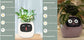 AI Smart Planter Pot – Interactive Plant Companion with Expressions & Sensors