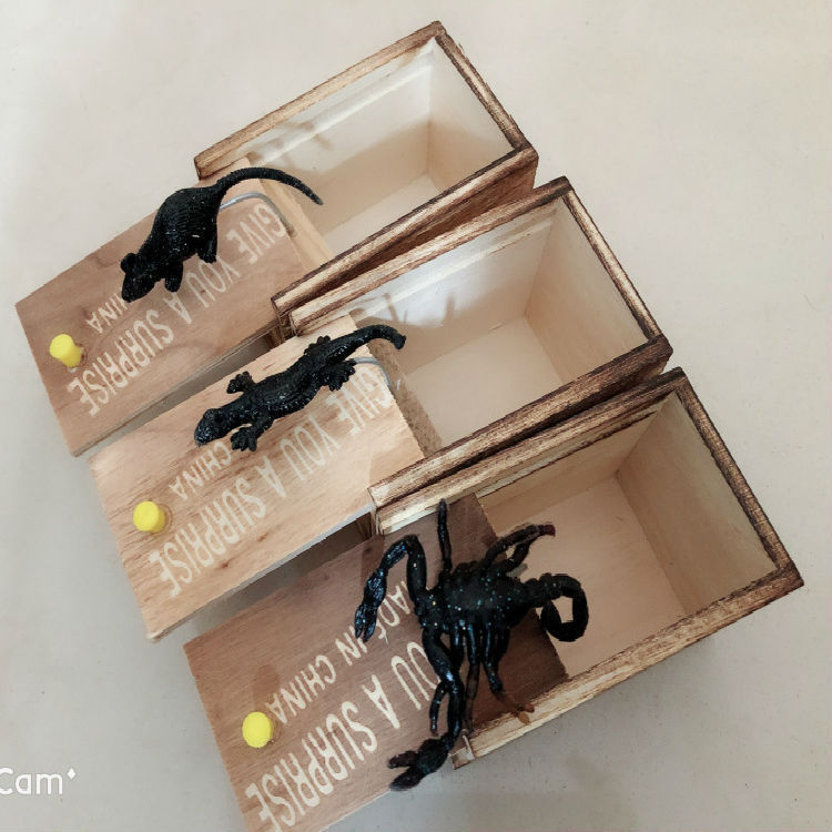 Surprise Prank Spider Box – The Ultimate Jump Scare Gift for Fun-Lovers - Zecs shopping