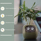 AI Smart Planter Pot – Interactive Plant Companion with Expressions & Sensors