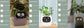 AI Smart Planter Pot – Interactive Plant Companion with Expressions & Sensors