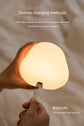 Cute Duck LED Night Lamp – USB Rechargeable Silicone Touch Bedside Light