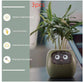 AI Smart Planter Pot – Interactive Plant Companion with Expressions & Sensors