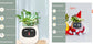AI Smart Planter Pot – Interactive Plant Companion with Expressions & Sensors