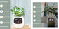 AI Smart Planter Pot – Interactive Plant Companion with Expressions & Sensors