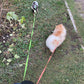 Retractable Dual Dog Leash – Reflective Walking Leash for Small Dogs