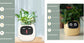 AI Smart Planter Pot – Interactive Plant Companion with Expressions & Sensors
