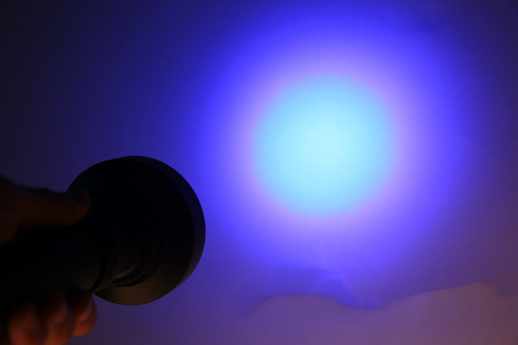 Violet Fluorescent Detector Flashlight – LED UV Light for Banknotes, Scorpions & More 🔦🧬 - Zecs shopping