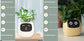 AI Smart Planter Pot – Interactive Plant Companion with Expressions & Sensors