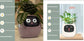 AI Smart Planter Pot – Interactive Plant Companion with Expressions & Sensors