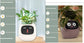 AI Smart Planter Pot – Interactive Plant Companion with Expressions & Sensors