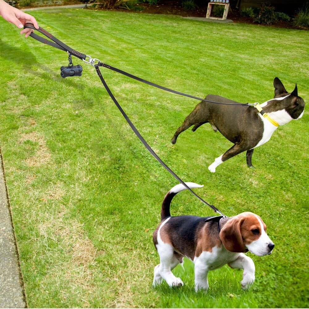 Multifunctional Waterproof Dog Leash – Tough, Tangle-Free & Adventure-Ready! - Zecs shopping