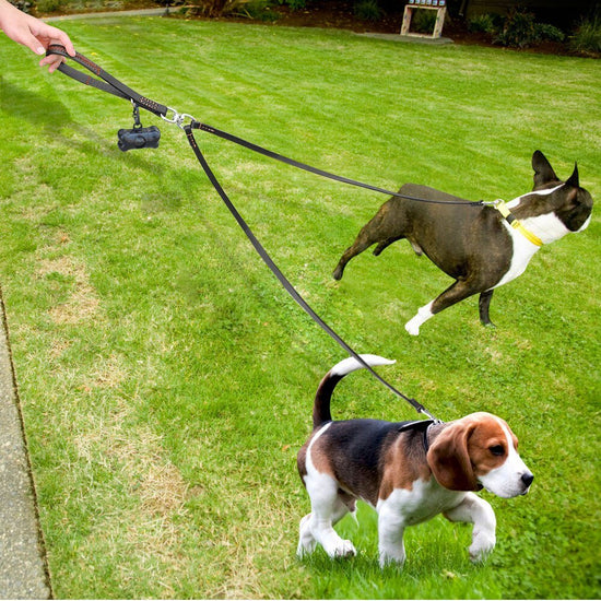 Multifunctional Waterproof Dog Leash – Tough, Tangle-Free & Adventure-Ready! - Zecs shopping