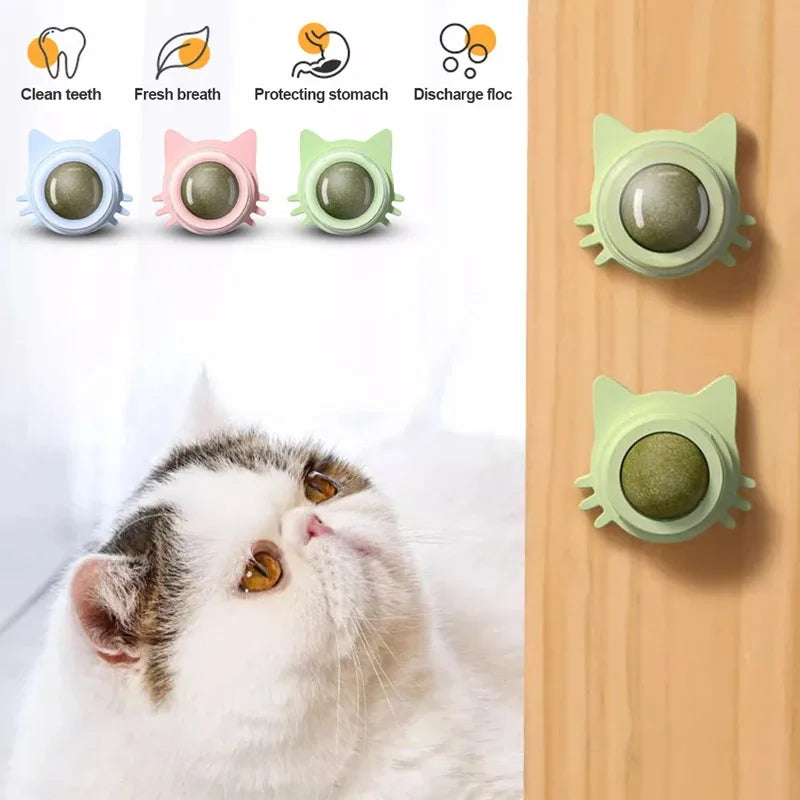 1PCS Catnip Lollipop Cat Treat Wall Design Dental Care Fresh Breath Cat Snacks Energy Ball Stomach Protection Pet Supplies - Zecs shopping