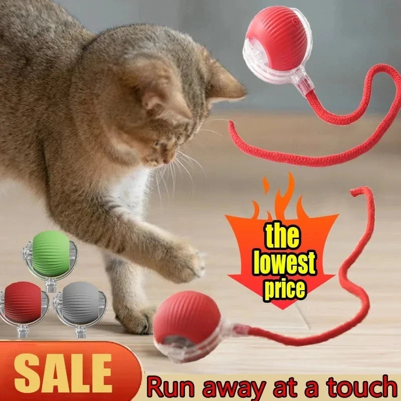 Interactive Dog Toys Rechargeable Pet Interactive Toys Electric Cats Ball Automatic Rolling Fake Tail Ball Dog Cats Toy - Zecs shopping