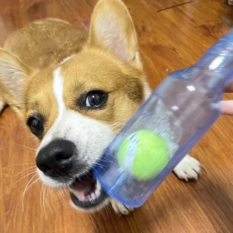 Pet Chew Toy TPR Bite-resistance Beer Bottle with Tennis Ball Toy Puppy Teeth Grinding dog Chewing Squeaky Interactive Toys - Zecs shopping