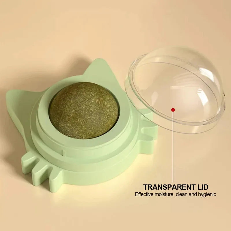 1PCS Catnip Lollipop Cat Treat Wall Design Dental Care Fresh Breath Cat Snacks Energy Ball Stomach Protection Pet Supplies - Zecs shopping