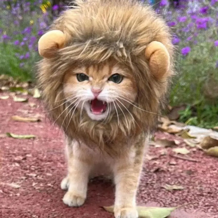 New Cute Funny Pets Clothes Cap Cute Cat Wig Lion Mane Costume Cosplay Kitten Dog Hat with Ears Fancy Party Supplies - Zecs shopping