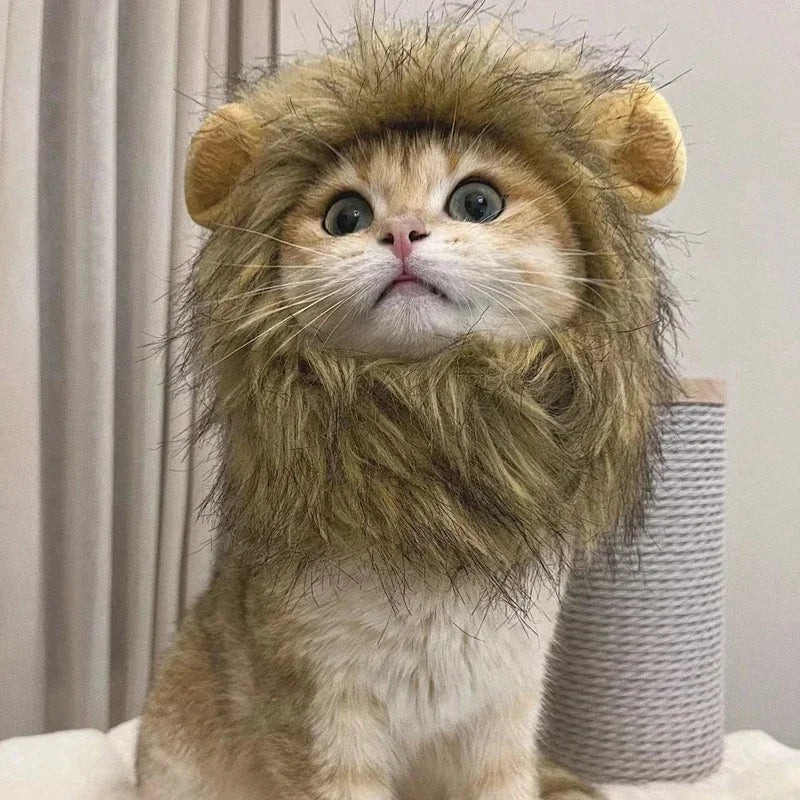 New Cute Funny Pets Clothes Cap Cute Cat Wig Lion Mane Costume Cosplay Kitten Dog Hat with Ears Fancy Party Supplies - Zecs shopping
