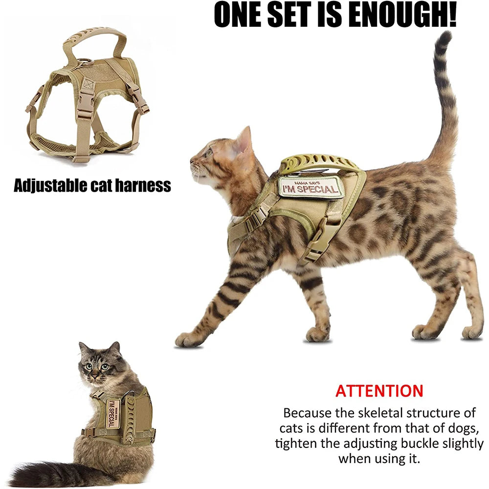 Tactical Cat Harness For Walking Escape Proof Adjustable Premium & Affordable