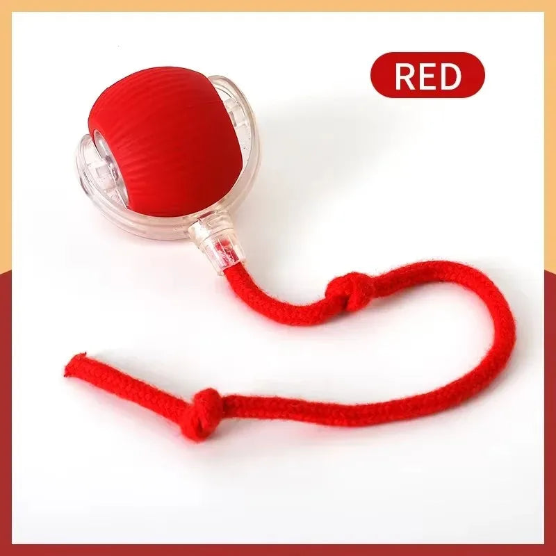 Smart Cat Toys Automatic Rolling Ball Fake Tail Rechargeable Electric Pet Interactive Toy Dog Cat Training Imitate Mouse Tail - Zecs shopping
