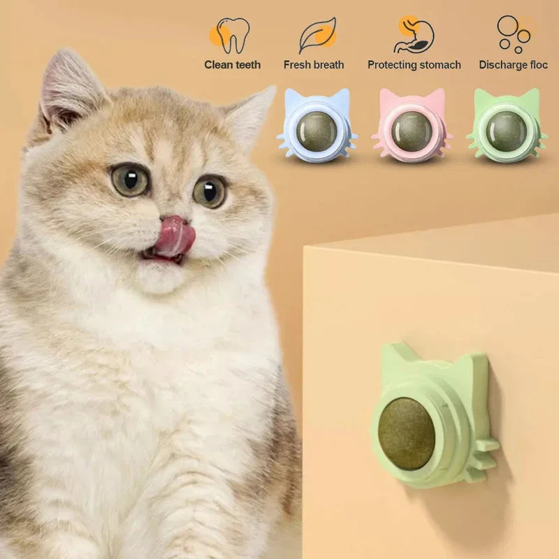 1PCS Catnip Lollipop Cat Treat Wall Design Dental Care Fresh Breath Cat Snacks Energy Ball Stomach Protection Pet Supplies - Zecs shopping