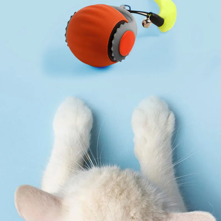 Pet smart cat ball cat toy ball electric cat toy self-exciting boredom ball safe bite-resistant pet toy - Zecs shopping
