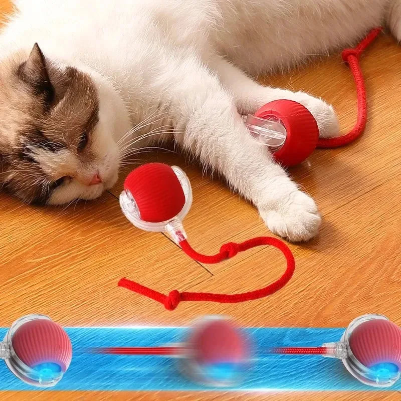 Smart Cat Toys Automatic Rolling Ball Fake Tail Rechargeable Electric Pet Interactive Toy Dog Cat Training Imitate Mouse Tail - Zecs shopping