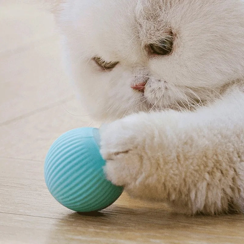 Cat Interactive Ball Smart Pet Cat Toys Indoor Automatic Rolling Magic Ball Electronic Interactive Cat Toy Cat Pet Accessories - Zecs shopping