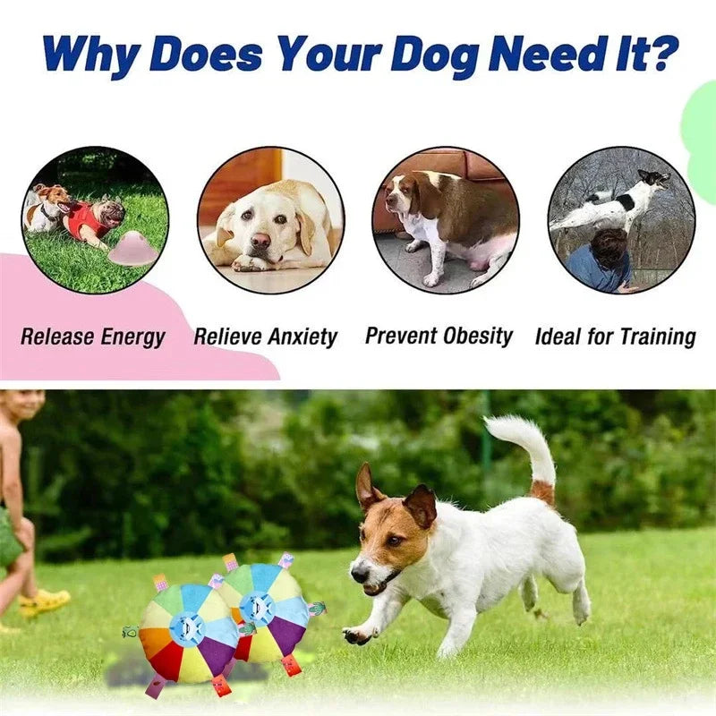 Funny Rainbow Plush Flying Saucer Dog Toys Outdoor Interactive Training Games Chew Toy Pets Flying Discs Toys Dog Accessories - Zecs shopping