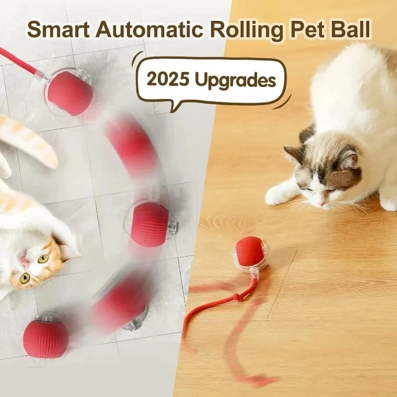 Interactive Dog Toys Rechargeable Pet Interactive Toys Electric Cats Ball Automatic Rolling Fake Tail Ball Dog Cats Toy - Zecs shopping