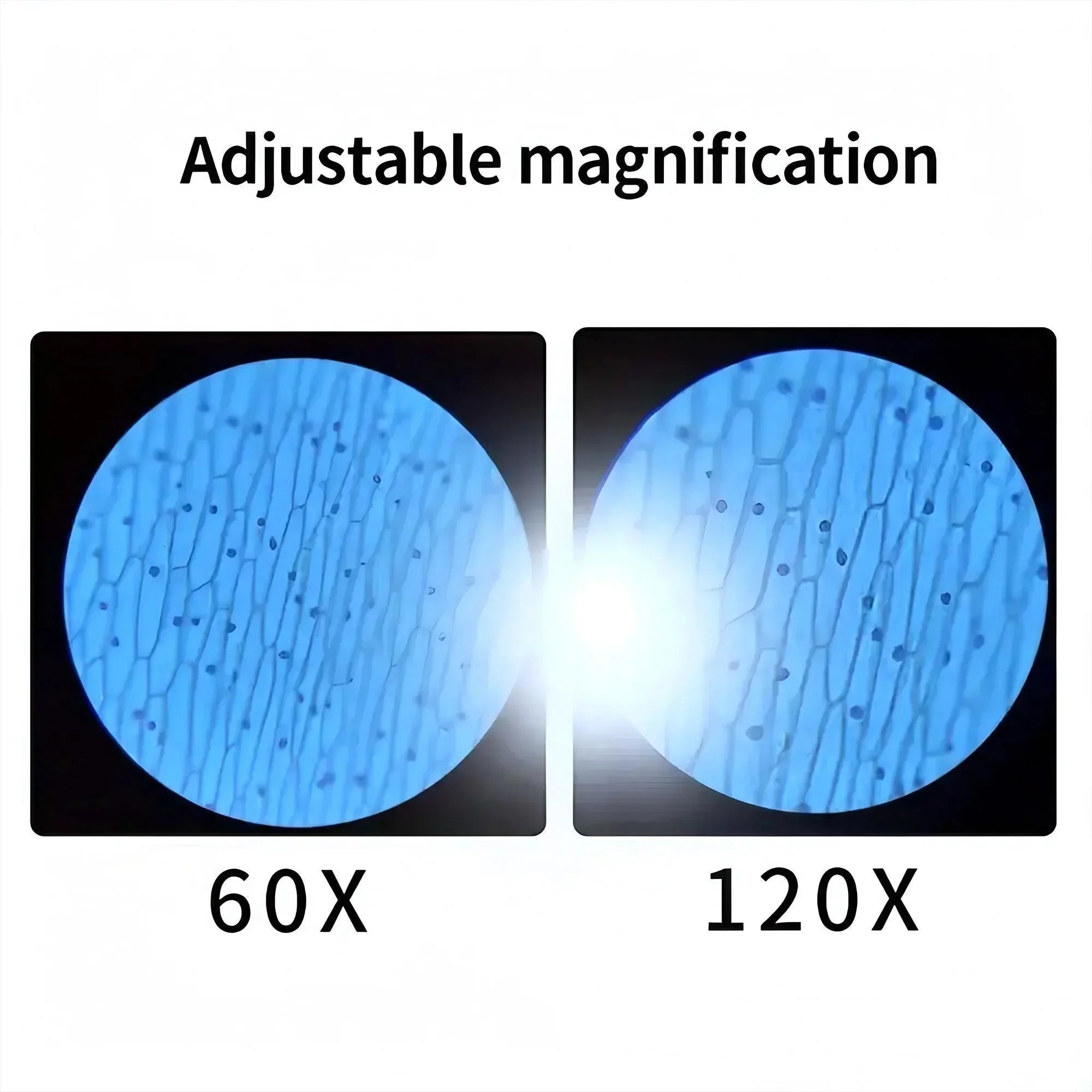 Portable Handheld x-x Magnification Microscope Optical Lens Scientific Premium & Affordable