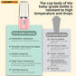 Portable Electric Blender Bottle – USB Rechargeable Smoothie & Fresh Juice Maker