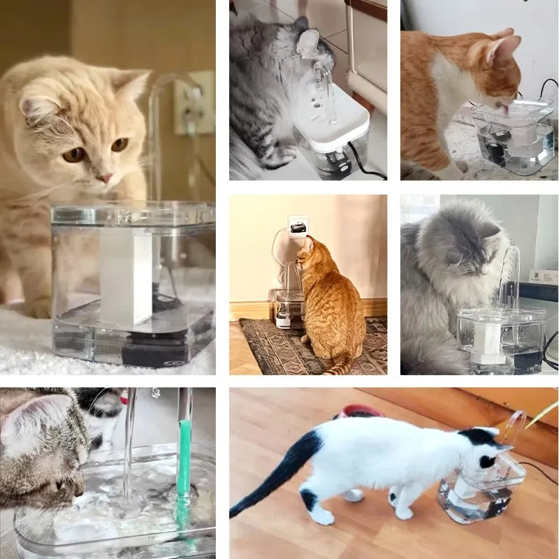 Cat Water Fountain Auto Filter Transparent Cat Drinker USB Electric Mute Recirculate Filtering Drinker for Cats Water Dispenser - Zecs shopping