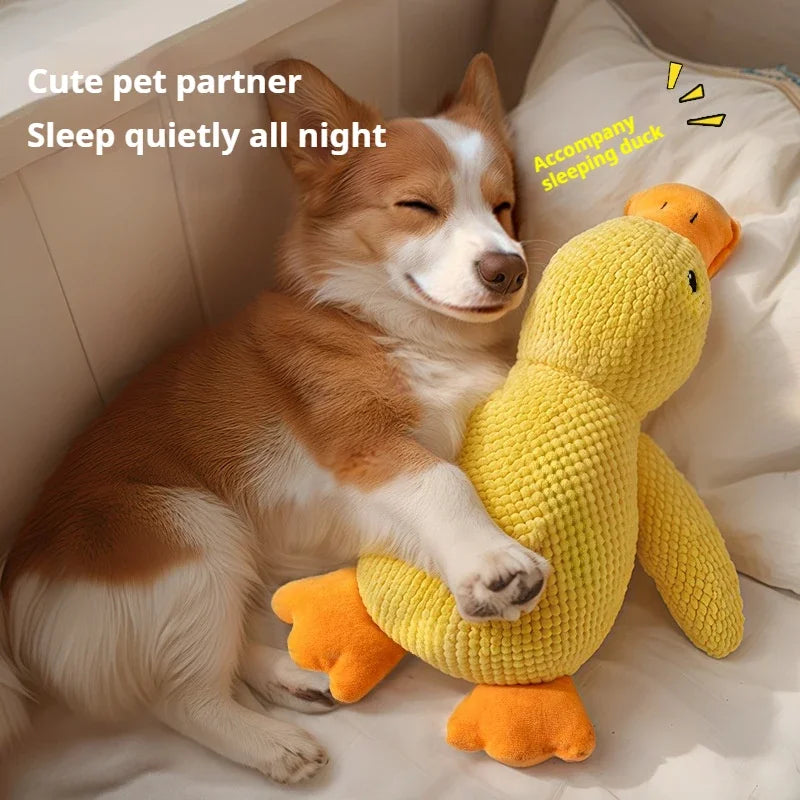 Dog toy plush companion sleeping duck bite resistant teeth grinding sound relief duck sound toy - Zecs shopping