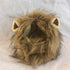 New Cute Funny Pets Clothes Cap Cute Cat Wig Lion Mane Costume Cosplay Kitten Dog Hat with Ears Fancy Party Supplies - Zecs shopping