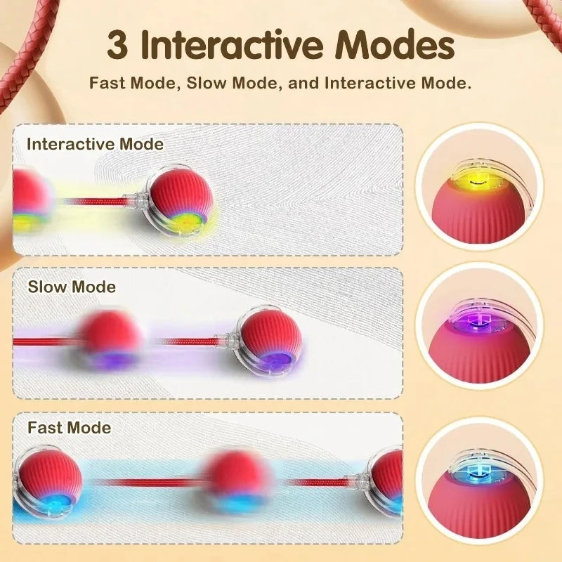 Interactive Dog Toys Rechargeable Pet Interactive Toys Electric Cats Ball Automatic Rolling Fake Tail Ball Dog Cats Toy - Zecs shopping