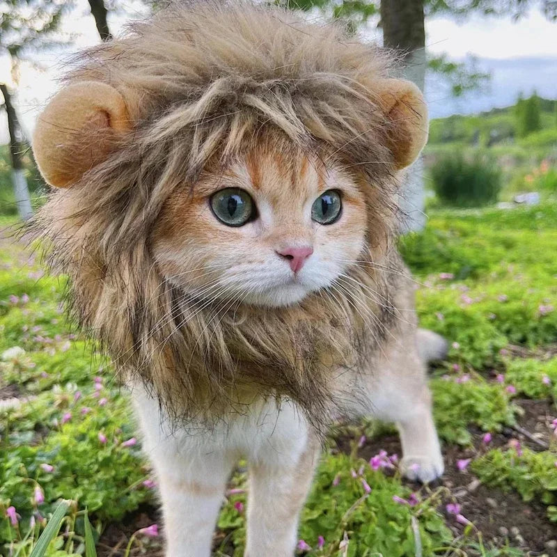 New Cute Funny Pets Clothes Cap Cute Cat Wig Lion Mane Costume Cosplay Kitten Dog Hat with Ears Fancy Party Supplies - Zecs shopping