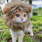 New Cute Funny Pets Clothes Cap Cute Cat Wig Lion Mane Costume Cosplay Kitten Dog Hat with Ears Fancy Party Supplies - Zecs shopping