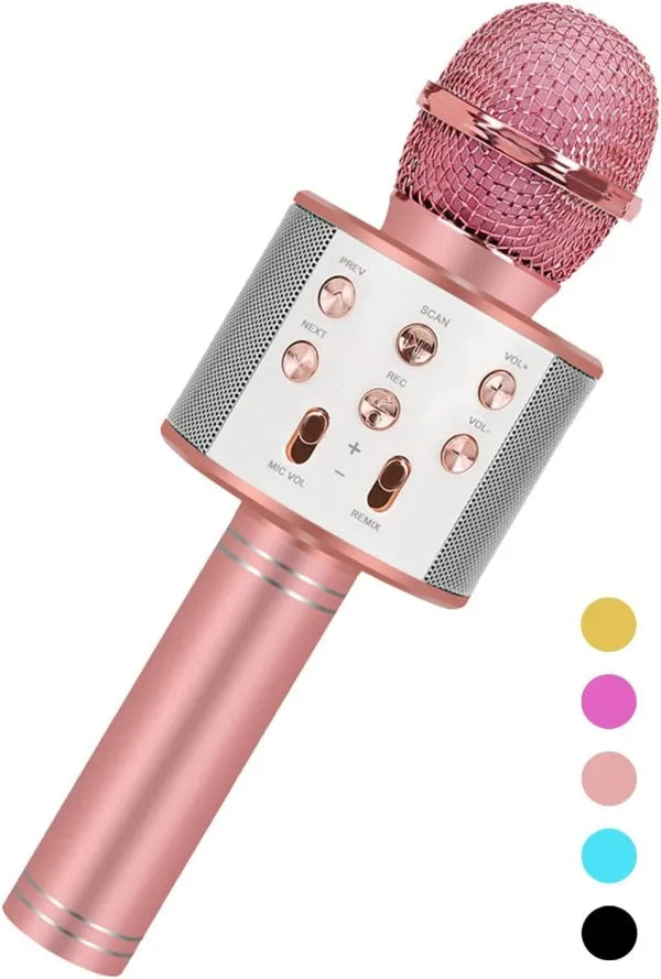 Kids Karaoke Microphone Fun Handheld Singing Toy for Boys & Girls