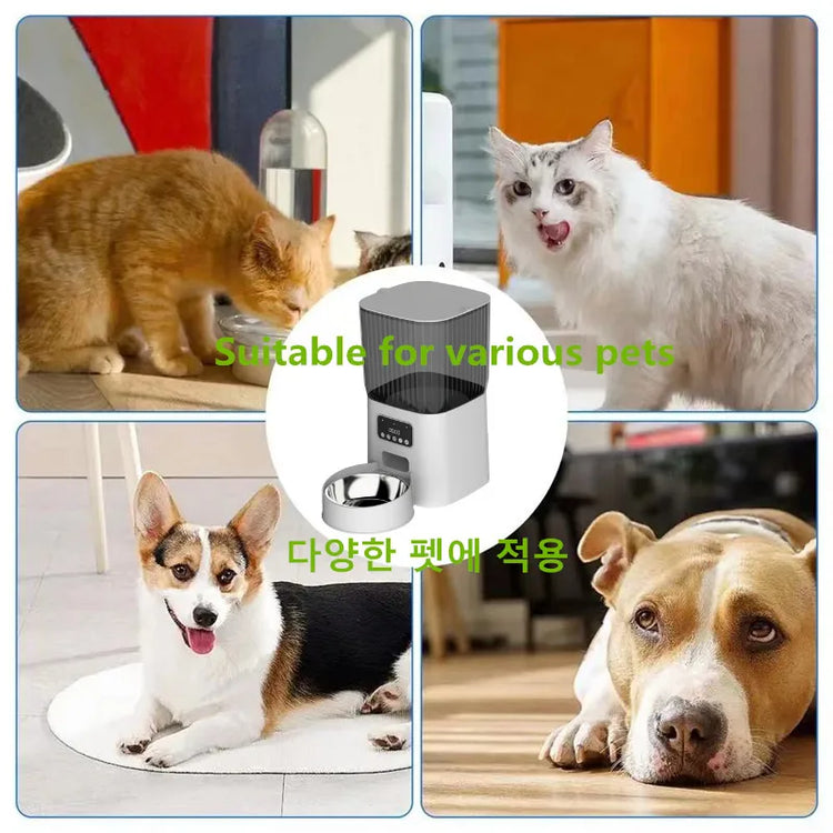 Pet Automatic Feeder Dog Feeding And Water Dog Accessories Cat Drinking Water Flowing Water Without Inserting Electric Kettle - Zecs shopping