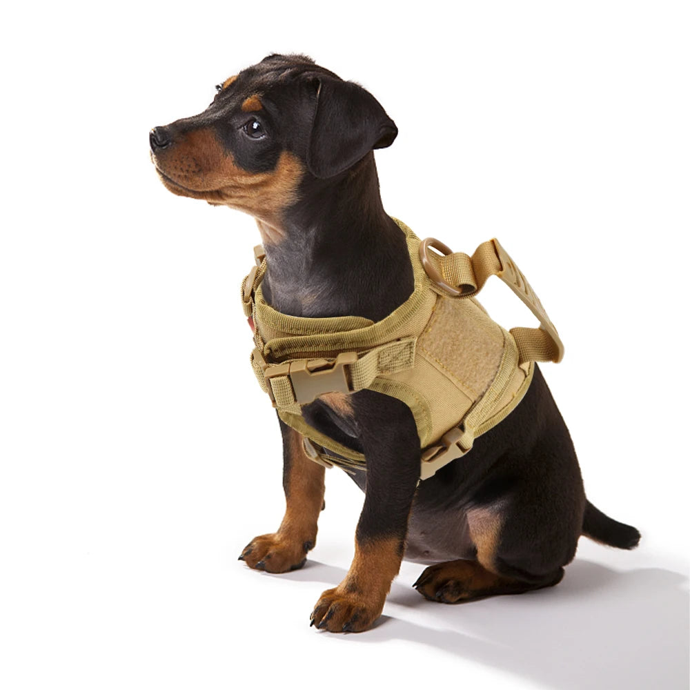 Tactical Puppy Harness Leash For Small Dogs Cats Adjustable Kitten Vest For Military Service Dog Working Training Walking - Zecs shopping
