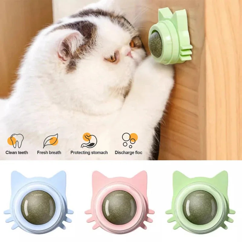 1PCS Catnip Lollipop Cat Treat Wall Design Dental Care Fresh Breath Cat Snacks Energy Ball Stomach Protection Pet Supplies - Zecs shopping