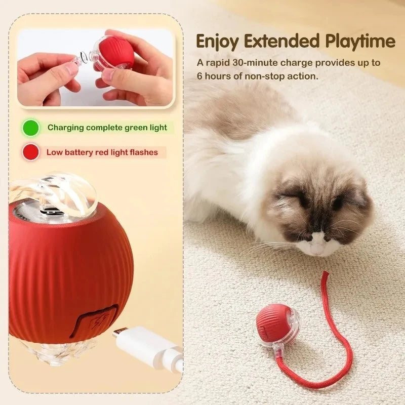Interactive Dog Toys Rechargeable Pet Interactive Toys Electric Cats Ball Automatic Rolling Fake Tail Ball Dog Cats Toy - Zecs shopping