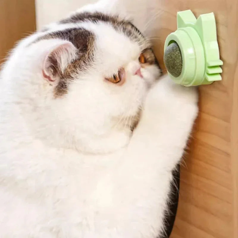 1PCS Catnip Lollipop Cat Treat Wall Design Dental Care Fresh Breath Cat Snacks Energy Ball Stomach Protection Pet Supplies - Zecs shopping