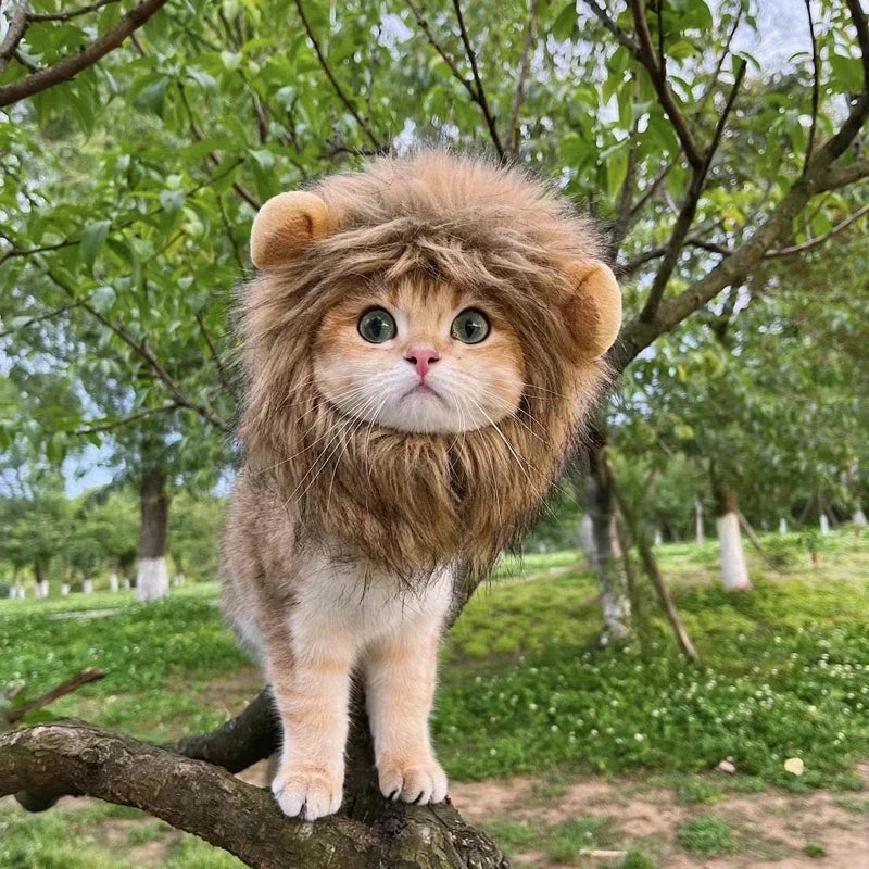 New Cute Funny Pets Clothes Cap Cute Cat Wig Lion Mane Costume Cosplay Kitten Dog Hat with Ears Fancy Party Supplies - Zecs shopping