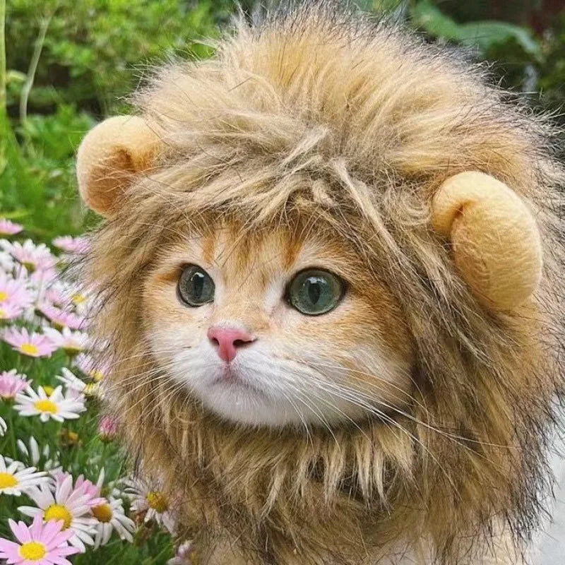 New Cute Funny Pets Clothes Cap Cute Cat Wig Lion Mane Costume Cosplay Kitten Dog Hat with Ears Fancy Party Supplies - Zecs shopping