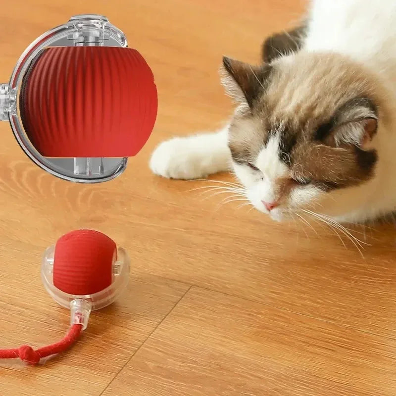 Smart Cat Toys Automatic Rolling Ball Fake Tail Rechargeable Electric Pet Interactive Toy Dog Cat Training Imitate Mouse Tail - Zecs shopping